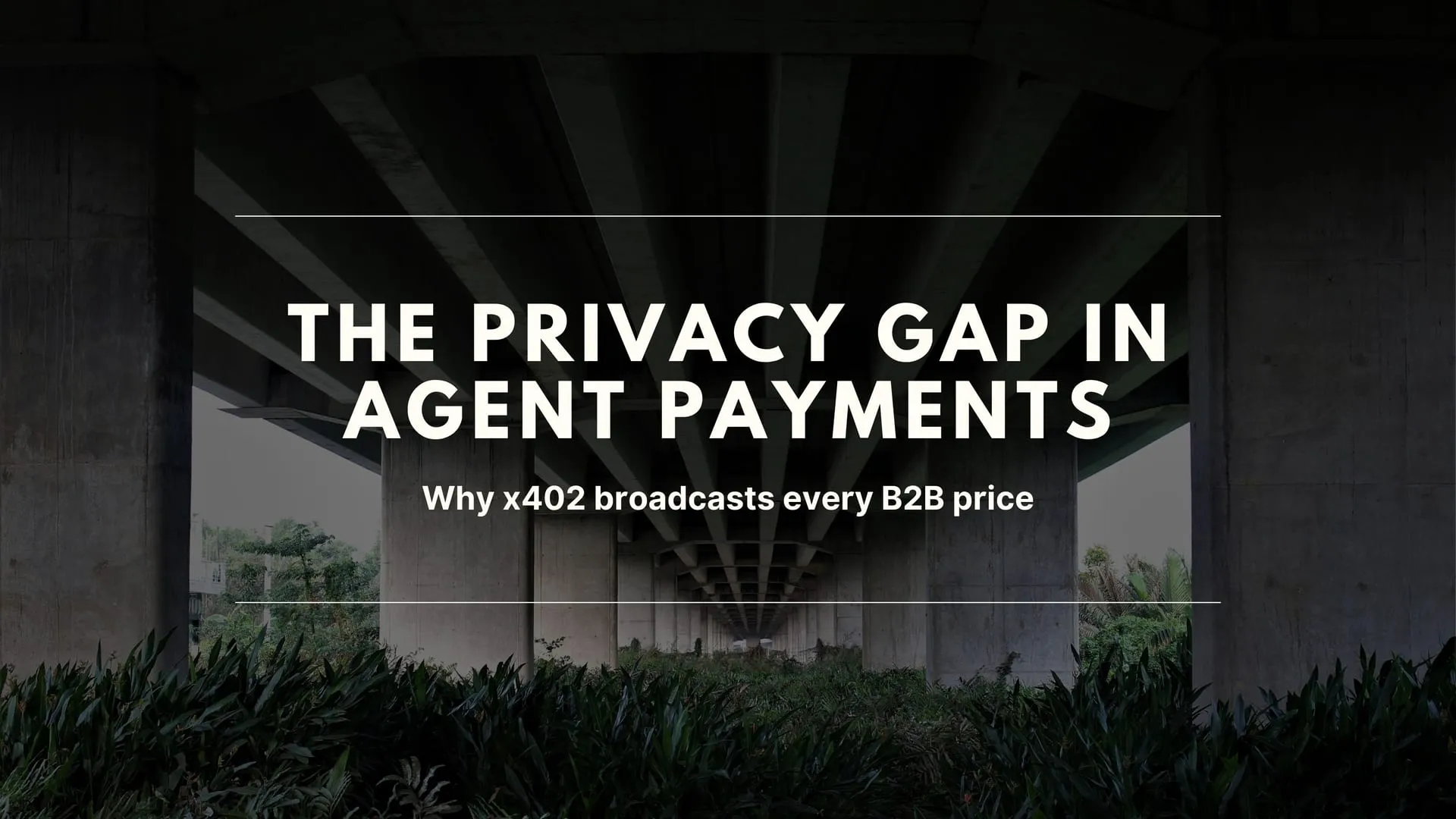 The Privacy Gap in Agent Payments